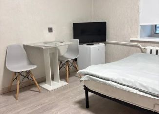 Квартира в аренду студия, 17 м2, Новосибирск, Владимировская улица, 35