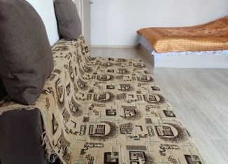 1-ком. квартира в аренду, 40 м2, Воронеж, улица Димитрова, 51А