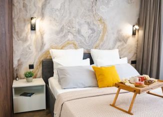 Сдается в аренду 1-ком. квартира, 43 м2, Самарская область, улица Соколова, 32