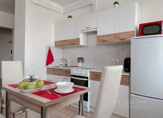 Сдам в аренду квартиру студию, 43 м2, Иркутская область, улица Лыткина, 9/6