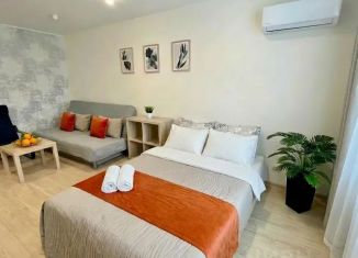 Сдается в аренду 2-комнатная квартира, 50 м2, Уфа, улица Испытателей, 21, Кировский район