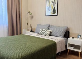 Аренда 1-комнатной квартиры, 35 м2, Пермь, улица Куфонина, 10Б, Дзержинский район