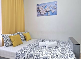 Сдаю квартиру студию, 22 м2, Москва, улица Поляны, 5Ак5