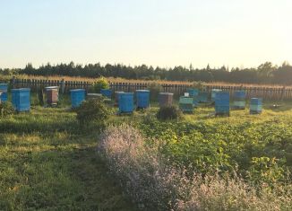 Продажа дома, 42 м2, Новосибирская область