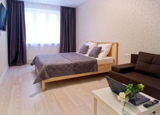 Однокомнатная квартира в аренду, 40 м2, Самара, 4-й проезд, 67А, метро Московская