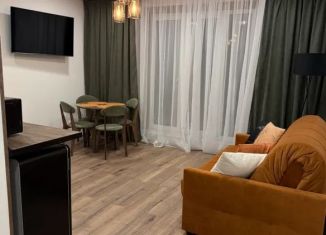 Аренда 1-ком. квартиры, 45 м2, Миасс, бульвар Карпова, 3