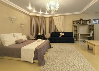 Сдается в аренду 1-ком. квартира, 45 м2, Самара, улица Степана Разина, 89, Самарский район