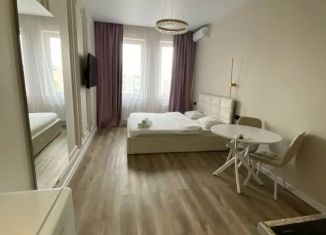 Сдается в аренду квартира студия, 33 м2, Уфа, улица Аксакова, 79, Ленинский район