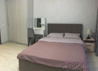 Сдается в аренду квартира студия, 29 м2, Челябинск, улица Маршала Чуйкова, 30, Курчатовский район