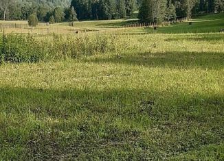 Продаю участок, 330000 сот., село Солонешное