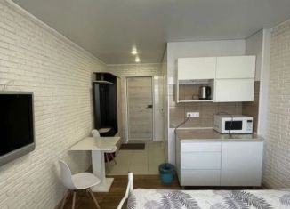 Сдается в аренду 1-ком. квартира, 17 м2, Старый Оскол, микрорайон Молодогвардеец, 2
