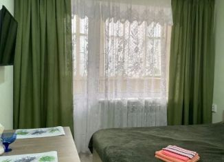 Сдаю квартиру студию, 24 м2, Уфа, улица Маршала Жукова, 5, Октябрьский район