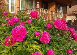 Продам дачу, 70 м2, Омск, 18-я аллея