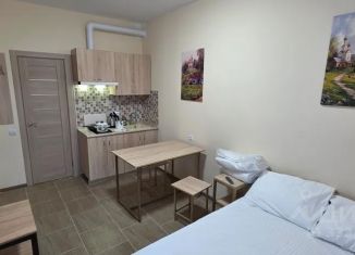 Сдам в аренду 1-ком. квартиру, 22 м2, Муром, площадь Крестьянина, 6А
