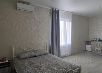 1-комнатная квартира в аренду, 30 м2, Самара, Гористая улица, 20, Кировский район