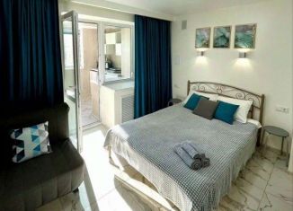 Сдам 1-комнатную квартиру, 28 м2, Пермь, улица 9 Мая, 3