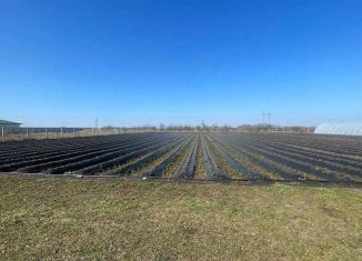 Продаю земельный участок, 15 сот., Крым, улица Бахт, 41