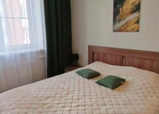 Сдача в аренду двухкомнатной квартиры, 56 м2, Ростов-на-Дону, улица Ерёменко, 110с1, Советский район