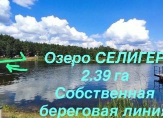 Продажа земельного участка, 239 сот., деревня Слобода
