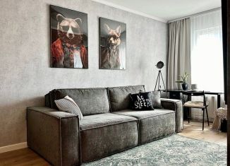 Сдается в аренду 1-ком. квартира, 33 м2, Татарстан, проспект Альберта Камалеева, 32