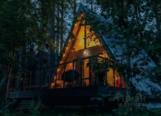 Сдается дом, 40 м2, Новгородская область