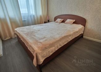 Сдается 1-ком. квартира, 45 м2, Самара, метро Победа, Силовая улица, 6