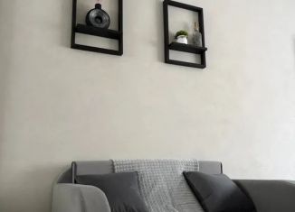 Сдается 1-ком. квартира, 28 м2, Воронежская область, улица Героев Сибиряков, 30