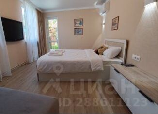 Сдаю в аренду однокомнатную квартиру, 20 м2, Пятигорск, улица Федько, 5