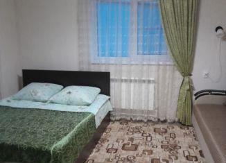 Аренда 1-ком. квартиры, 37 м2, Ставропольский край, Быстрый проезд, 3